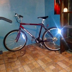 Giant 10 speed mountain bike.